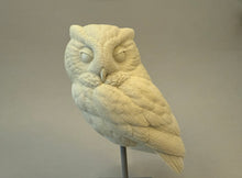 Load image into Gallery viewer, Screech Owl Cast 2025