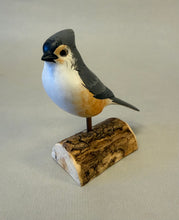 Load image into Gallery viewer, Tufted Titmouse