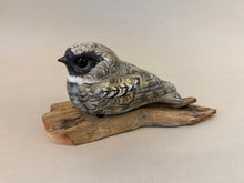 Load image into Gallery viewer, Common Poorwill