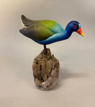 Load image into Gallery viewer, Purple Gallinule (smoothie)-video seminar