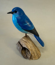 Load image into Gallery viewer, Mountain Bluebird