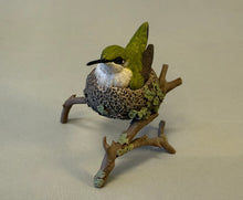 Load image into Gallery viewer, Ruby-throated hummingbird nesting (detailed)