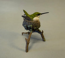 Load image into Gallery viewer, Ruby-throated hummingbird nesting (detailed)