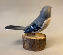 Load image into Gallery viewer, Mockingbird
