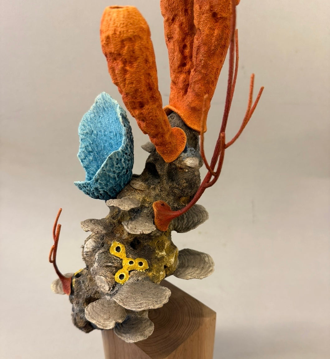 Making Caribbean Coral-video seminar