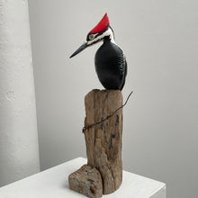 Load image into Gallery viewer, Pileated Woodpecker