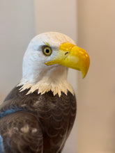 Load image into Gallery viewer, Bald Eagle