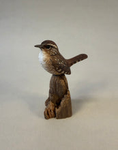 Load image into Gallery viewer, Winter wren
