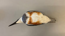Load image into Gallery viewer, Belted Kingfisher-video seminar