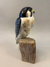 Load image into Gallery viewer, Peregrine Falcon