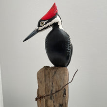 Load image into Gallery viewer, Pileated Woodpecker