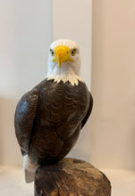 Load image into Gallery viewer, Bald Eagle