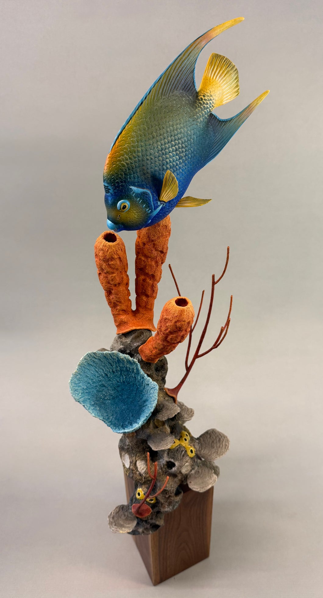 Queen Angelfish (detailed)