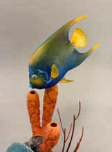 Load image into Gallery viewer, Making Caribbean Coral-video seminar