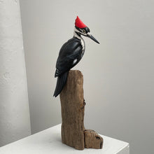 Load image into Gallery viewer, Pileated Woodpecker