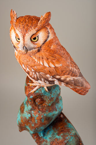 Sreech Owl-video seminar