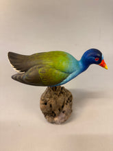 Load image into Gallery viewer, Purple Gallinule (smoothie)-video seminar