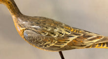 Load image into Gallery viewer, Long-billed curlew