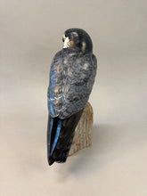 Load image into Gallery viewer, Peregrine Falcon