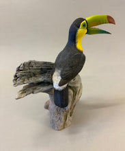 Load image into Gallery viewer, Keel-billed Toucan