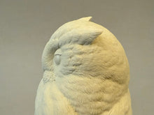 Load image into Gallery viewer, Screech Owl Cast 2025