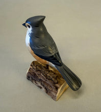 Load image into Gallery viewer, Tufted Titmouse