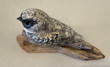 Load image into Gallery viewer, Common Poorwill