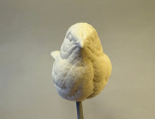 Load image into Gallery viewer, Brown Thrasher cast