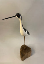 Load image into Gallery viewer, Black-necked Stilt
