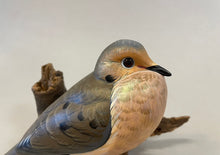 Load image into Gallery viewer, Mourning Dove