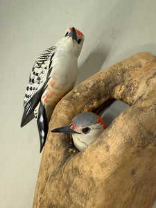 Red-bellied woodpecker pair (wall mount)
