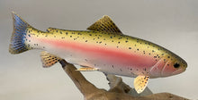 Load image into Gallery viewer, Rainbow Trout 12 inch -Video Seminar