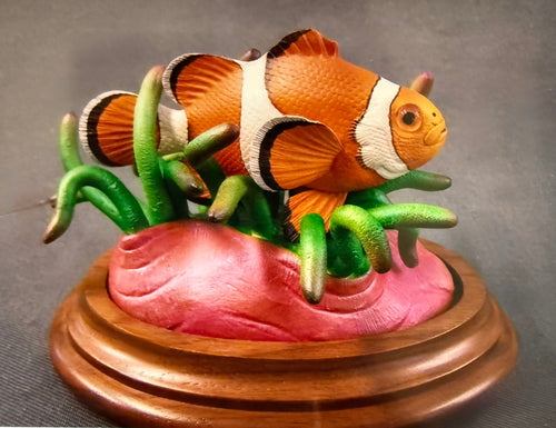 Clownfish-Video Seminar