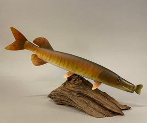 Muski with fish in mouth (19 inches)