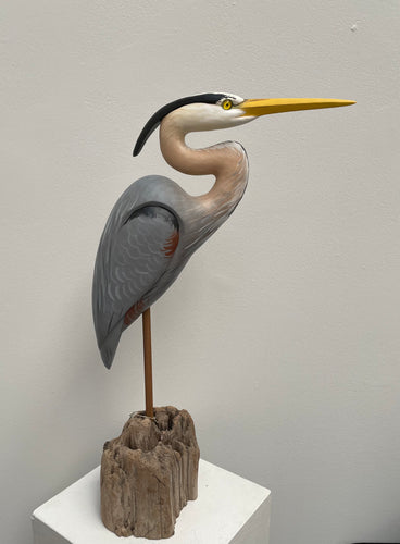 Great Blue Heron