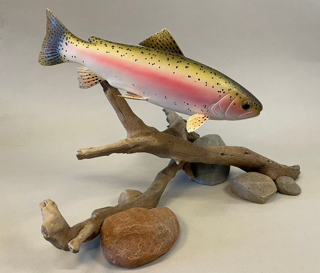 Rainbow Trout 12 inch -Video Seminar – GugeInstitute