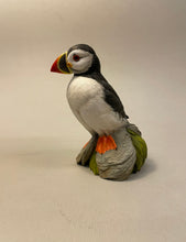 Load image into Gallery viewer, Puffin on Rocks 1/5 scale -video seminar
