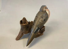 Load image into Gallery viewer, Mourning Dove