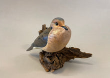 Load image into Gallery viewer, Mourning Dove