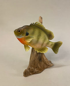 Bluegill (6 inches)