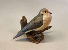 Load image into Gallery viewer, Mourning Dove