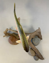 Load image into Gallery viewer, Rainbow Trout 12 inch -Video Seminar