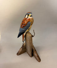 Load image into Gallery viewer, American Kestrel(smoothie)-video seminar