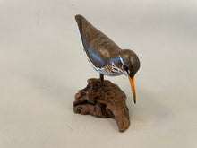 Load image into Gallery viewer, Spotted sandpiper