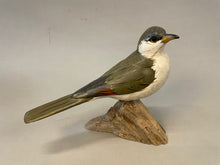 Load image into Gallery viewer, Yellow-billed Cuckoo