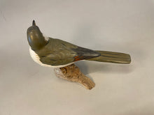 Load image into Gallery viewer, Yellow-billed Cuckoo