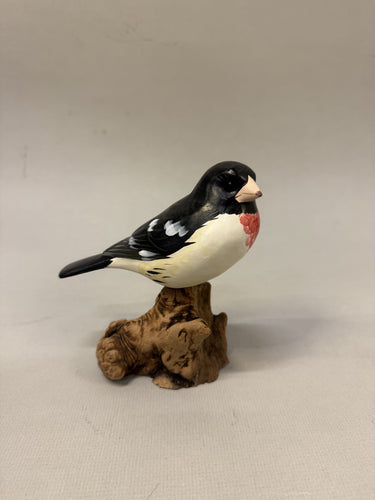 Rose-breasted grosbeak