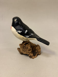 Rose-breasted grosbeak