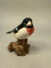 Load image into Gallery viewer, Rose-breasted grosbeak