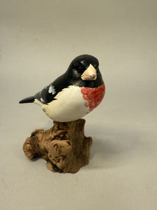 Rose-breasted grosbeak